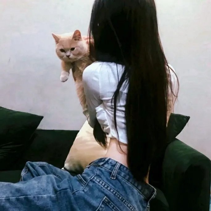 孤儿泪 在线观看封面